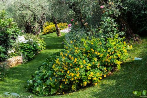 LUIGICONSIGLIO-FOTOGRAFO-giardini-Lago-di-GardaTo MG 6362
