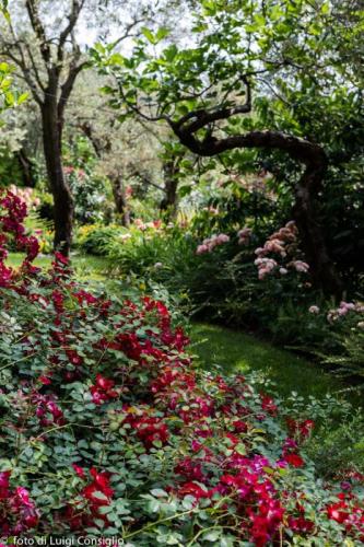 LUIGICONSIGLIO-FOTOGRAFO-giardini-Lago-di-GardaTop MG 6425