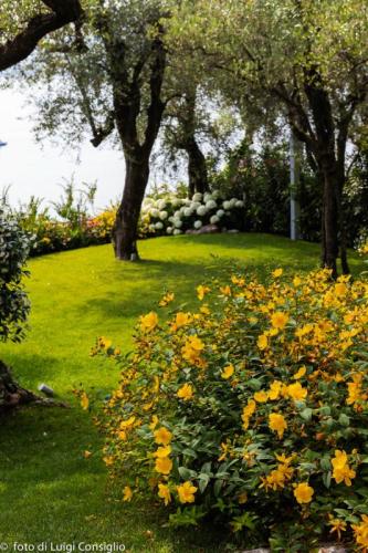 LUIGICONSIGLIO-FOTOGRAFO-giardini-Lago-di-GardaTop MG 6427