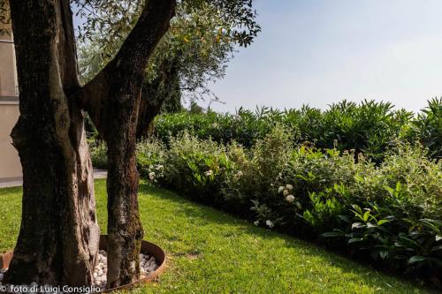 LUIGICONSIGLIO-FOTOGRAFO-giardini-Lago-di-GardaTop MG 6435