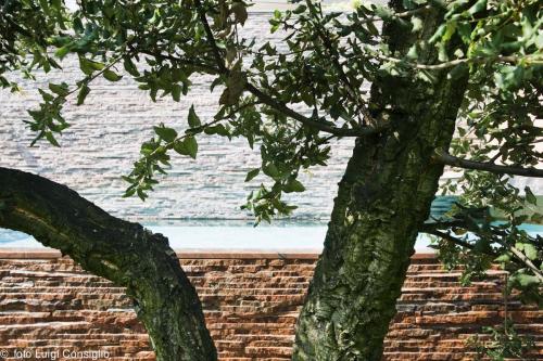 LUIGICONSIGLIO-FOTOGRAFO-giardini-Verona-289X1366