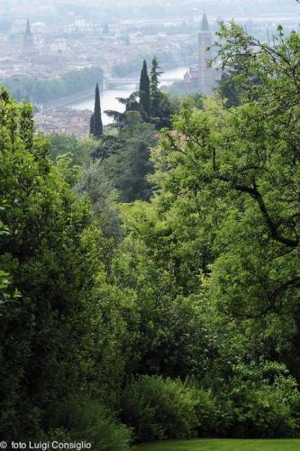 LUIGICONSIGLIO-FOTOGRAFO-giardini-Verona-ANTO22-2 (1)