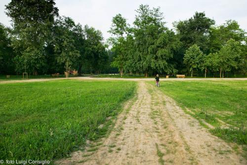 Parco Buri 2006