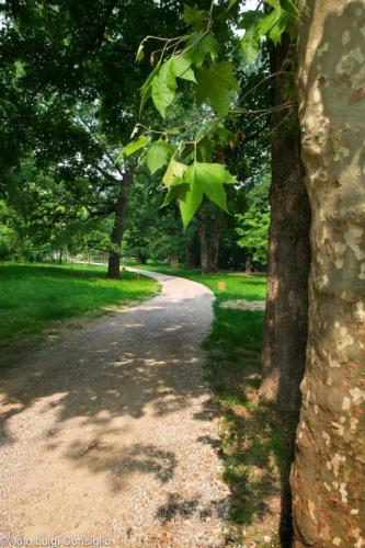 Parco Buri 2006