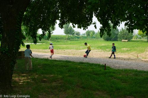 LUIGICONSIGLIO-FOTOGRAFO-giardini-Verona-Comune-42parco Buri66289X2015