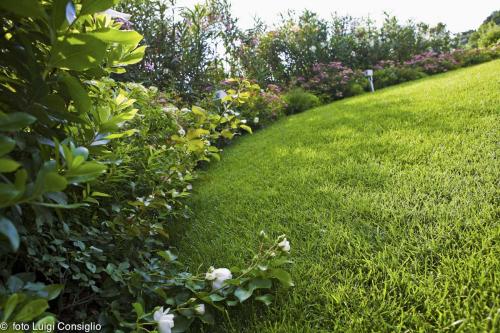 LUIGICONSIGLIO-FOTOGRAFO-giardini-Verona-Fontana albare20160622 3281 (1)