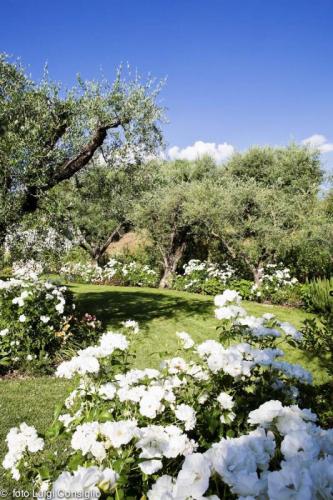 LUIGICONSIGLIO-FOTOGRAFO-giardini-Verona-cisano mg 1006 (1)