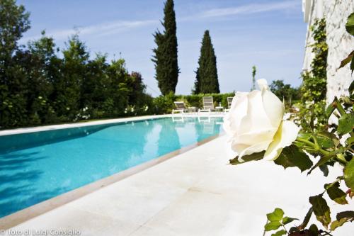 LUIGICONSIGLIO-FOTOGRAFO-giardini-Verona-montecch MG 0645 (1)