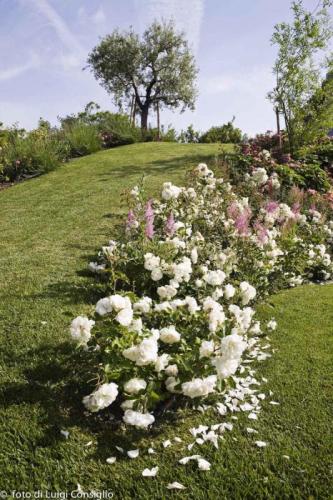 LUIGICONSIGLIO-FOTOGRAFO-giardini-Verona-montecch MG 0649 (1)