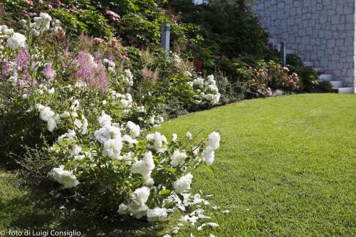LUIGICONSIGLIO-FOTOGRAFO-giardini-Verona-montecch MG 0652