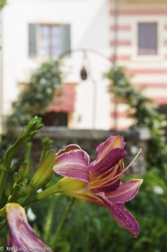 LUIGICONSIGLIO-FOTOGRAFO-giardini-Verona-palazzolo20150530 8846 (1)