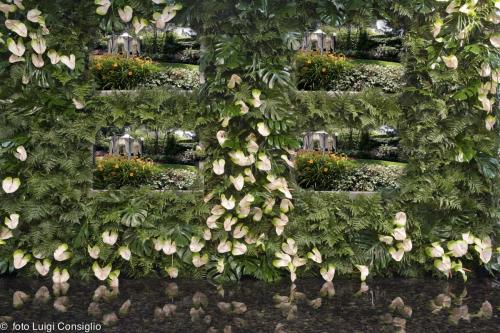 LUIGICONSIGLIO-FOTOGRAFO-giardini-Verona-vivilacasa2010 MG 3415-a