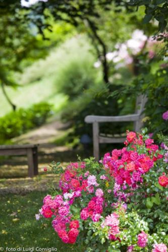 LUIGICONSIGLIO-FOTOGRAFO-giardini-Vicenza-cre matt MG 4929 (1)