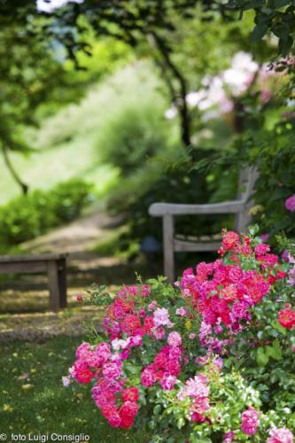 LUIGICONSIGLIO-FOTOGRAFO-giardini-Vicenza-cre matt MG 4929 (1) (1)