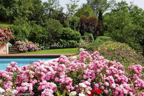 LUIGICONSIGLIO-FOTOGRAFO-giardini-Vicenza-cre pom MG 5011 (1) (1)