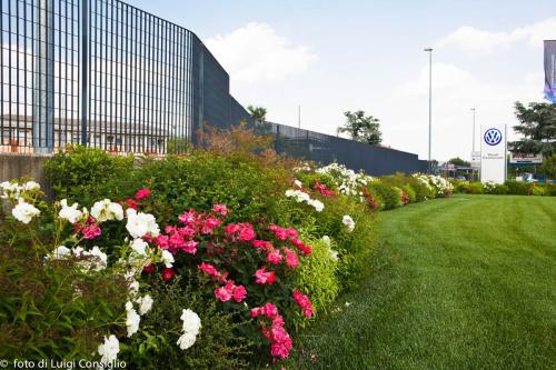 LUIGICONSIGLIO-FOTOGRAFO-giardini-Volkswagen-Vicentini-Verona-001a (1)