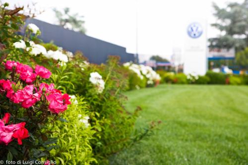 LUIGICONSIGLIO-FOTOGRAFO-giardini-Volkswagen-Vicentini-Verona-004