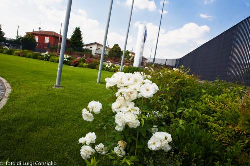 LUIGICONSIGLIO-FOTOGRAFO-giardini-Volkswagen-Vicentini-Verona-006