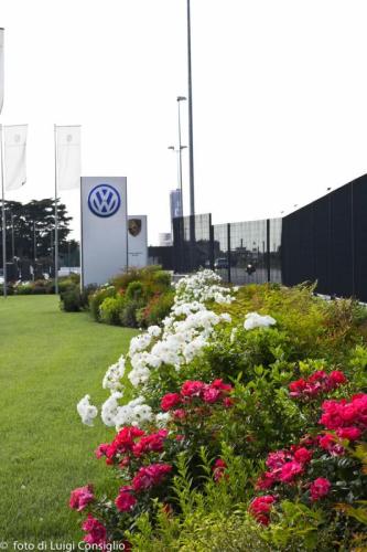 LUIGICONSIGLIO-FOTOGRAFO-giardini-Volkswagen-Vicentini-Verona-008