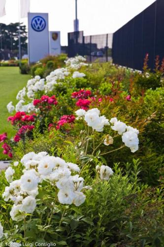 LUIGICONSIGLIO-FOTOGRAFO-giardini-Volkswagen-Vicentini-Verona-010