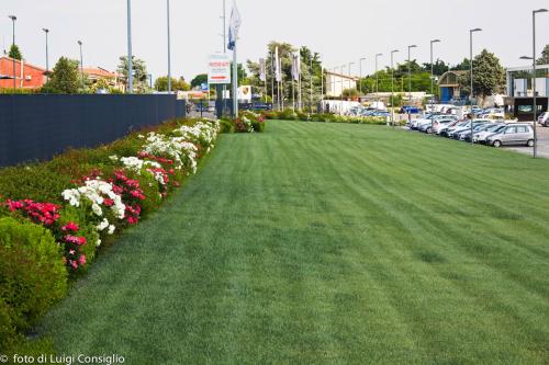 LUIGICONSIGLIO-FOTOGRAFO-giardini-Volkswagen-Vicentini-Verona-014