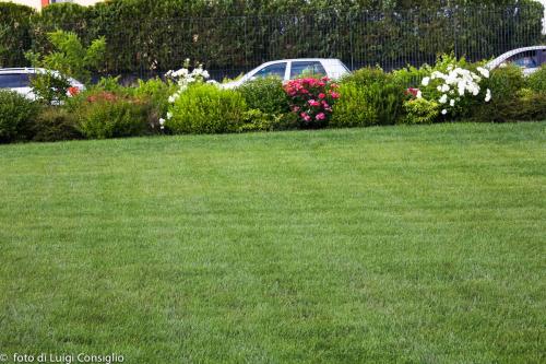 LUIGICONSIGLIO-FOTOGRAFO-giardini-Volkswagen-Vicentini-Verona-017
