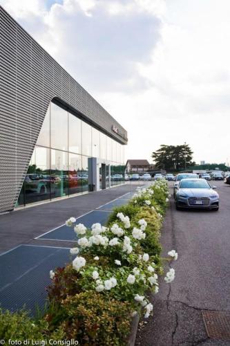 LUIGICONSIGLIO-FOTOGRAFO-giardini-Volkswagen-Vicentini-Verona-022